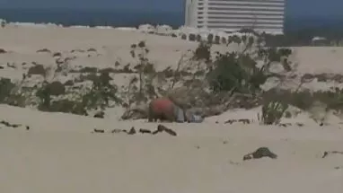 Juanborialamanga anal amatörpornolar seks 01